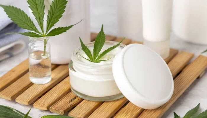 Guide to Non-CBD Infused Balms : Power of Herbal Remedies