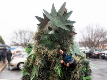 NY Cannabis Insiders Week In Legal Weed For Dec. 23, 2023