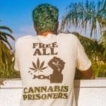 Biden's Pardon: A Feeble Gesture Amidst Cannabis Incarceration Crisis | StupidDOPE 3 Biden’s Pardon: A Feeble Gesture Amidst Cannabis Incarceration Crisis | StupidDOPE