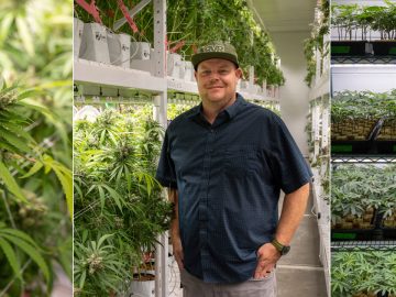 From Courtrooms To Grow Rooms, A Big Year For Cannabis In Arkansas