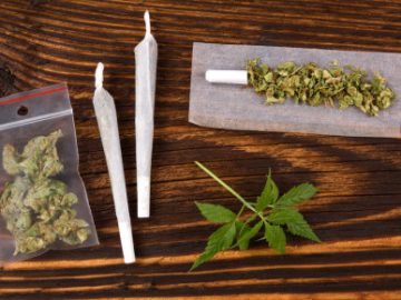 African History Of Dagga (Cannabis) Offers Fascinating, Heartbreaking Insights