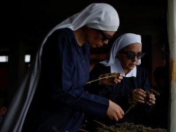 Mexican ‘Nuns’ Grow Cannabis