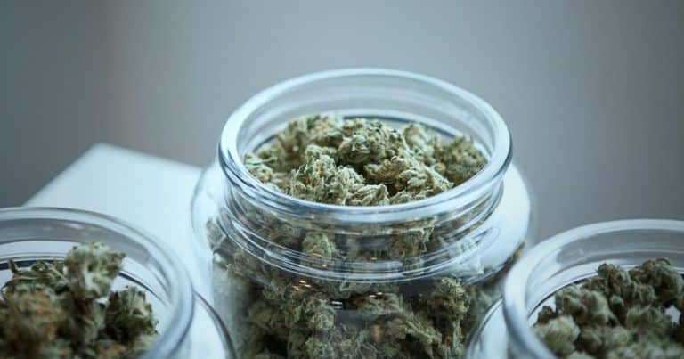 Struggling With Oversaturation, Oregon’s Cannabis Industry Calls For New Restrictions