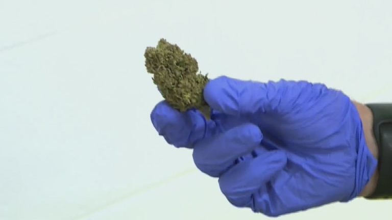 Washington Bill Increases Age To Buy ‘dangerous’ Cannabis Products