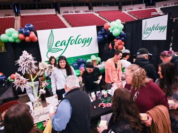 Cannabis Curious Find New Strains, Edibles And More At Cannabis Expo