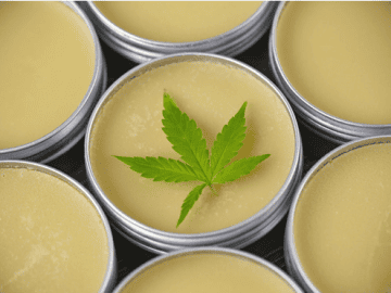 How Does a CBD Muscle Balm Work? And Other FAQs – INSCMagazine