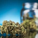 Gov. DeSantis Expects Voters To Decide On Cannabis Legalization