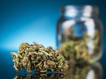 Gov. DeSantis Expects Voters To Decide On Cannabis Legalization