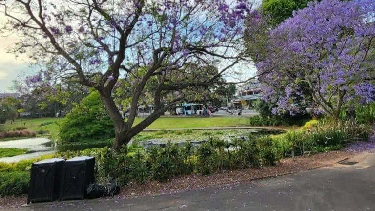 Deadly find discovered in CBD parks
