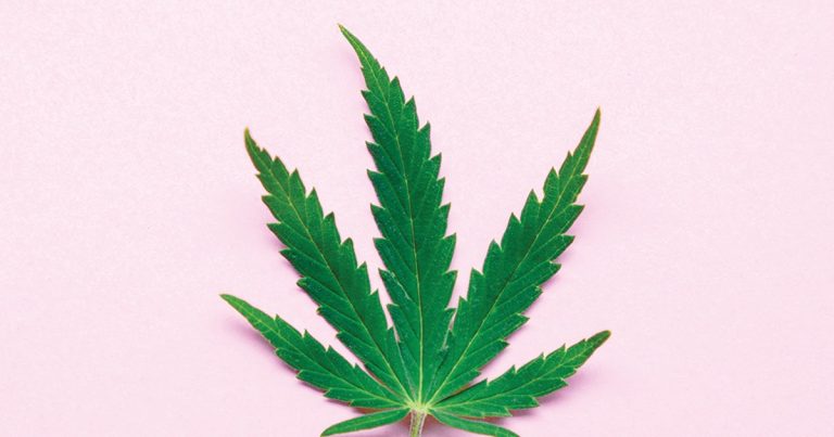A Cannabis News Roundup