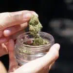Majority Of Americans Live In A Legal Marijuana State