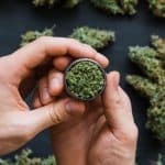 7 Cannabis Stocks To Buy For A Smoking-Hot 2024 4 7 Cannabis Stocks To Buy For A Smoking-Hot 2024