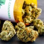 Louisiana Cannabis Law Change Sends Grow License To Good Day Farm