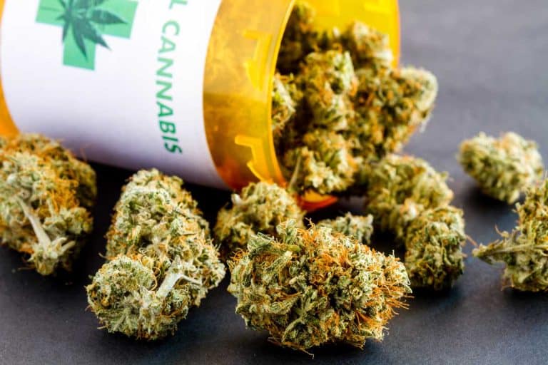 Louisiana Cannabis Law Change Sends Grow License To Good Day Farm