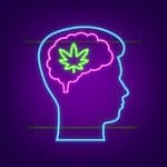 Study Finds CBD From Cannabis May Improve Autistic Quality Of Life