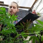 Where Will Tilray Brands Be In 3 Years? | The Motley Fool 3 Where Will Tilray Brands Be In 3 Years? | The Motley Fool