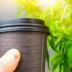 Hemp Beverage Brewers Fear Illinois Hemp Ban Will End Fledgling Industry 3 Hemp Beverage Brewers Fear Illinois Hemp Ban Will End Fledgling Industry