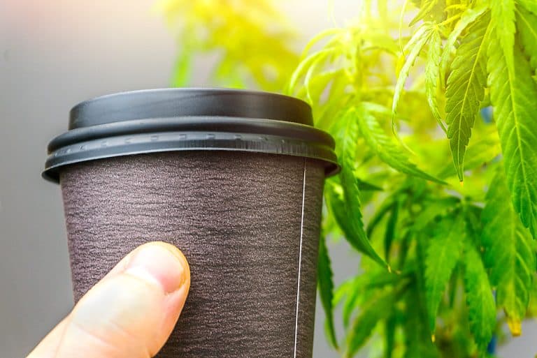 Hemp Beverage Brewers Fear Illinois Hemp Ban Will End Fledgling Industry