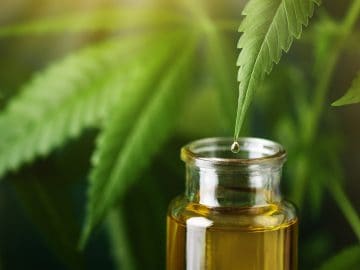NOW launches new line of THC-free CBD topical products