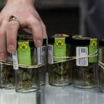 DC Residents Sue City Over Cannabis Dispensaries In Their Neighborhoods – WTOP News