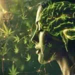 Prenatal Cannabis Use Impacts Brain Development – Neuroscience News