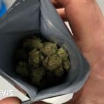 Medical Cannabis: London Clinics See Rise In Patients