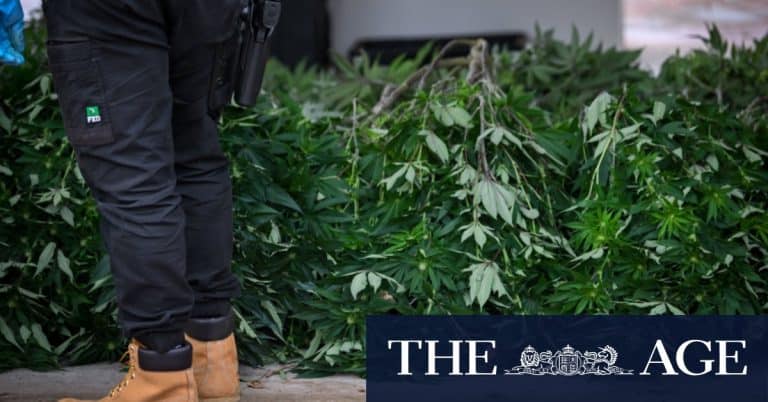 How Australias War On Weed Hurts The Poor