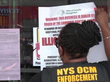 Police Seek Clarity On Enforcement As Cannabis Office Focuses On Illicit Shops