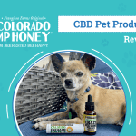 Expert Review of Colorado Hemp Honey 2024 3 Colorado Hemp Honey Review 2024: An Experts Breakdown – Dogster
