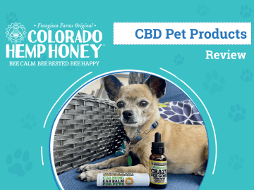 Colorado Hemp Honey Review 2024: An Experts Breakdown – Dogster