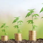 Cannabis Industry Growth and Banking Prospects 6 New Market Data Highlights Cannabis Growth Potential And Banking Opportunities