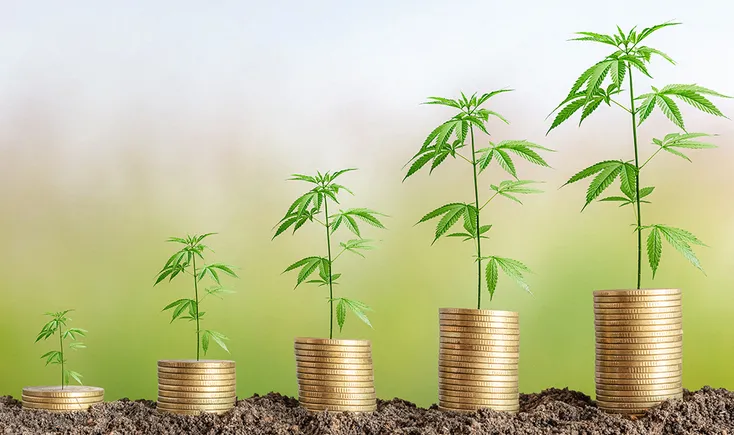 New Market Data Highlights Cannabis Growth Potential And Banking Opportunities