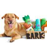 BARK Relaunches Weed-Inspired Dog Toys and Treats