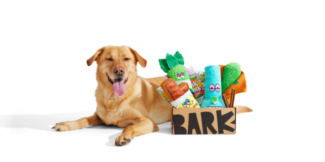 BARK Relaunches Weed-Inspired Dog Toys and Treats