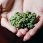 Stigma Still Helping Fuel Germany’s Illicit Cannabis Market