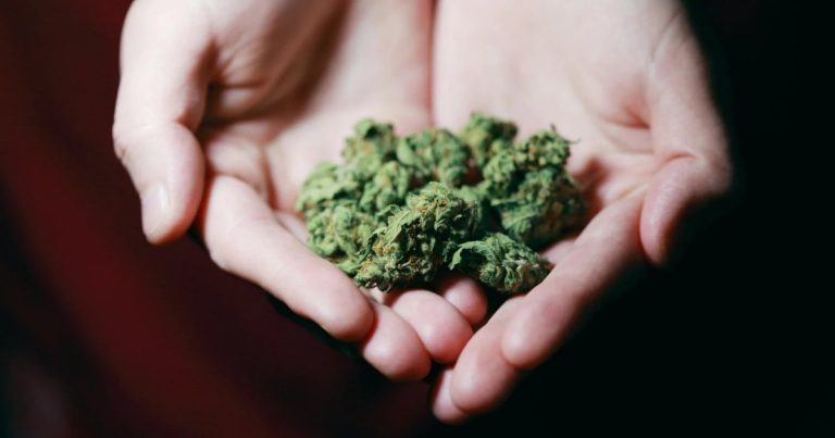 Stigma Still Helping Fuel Germany’s Illicit Cannabis Market