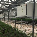 Carpinteria: The Cannabis Aroma Experience 3 Carpinteria Cannabis And The Lingering Smell Of Pot
