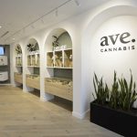 West Vancouver Adjusts Cannabis Regulations 4 West Vancouver Tweaks Cannabis Policy