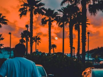 Visit One Of The Highest-Rated Weed Shops In Bradenton