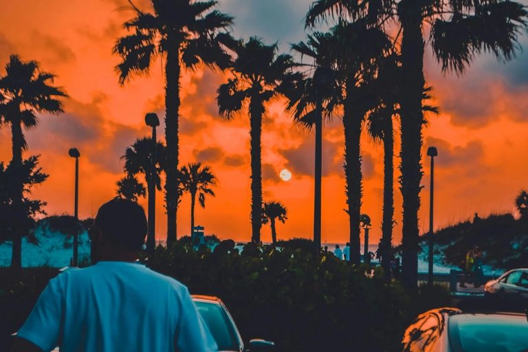 Visit One Of The Highest-Rated Weed Shops In Bradenton