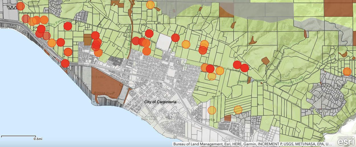 Carpinteria: The Cannabis Aroma Experience 3 Cannabis greenhouse projects