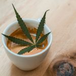 California Legalizes Cannabis Cafes Statewide 3 Governor Newsom Has Signed The Bill To Legalize Cannabis Cafes Across California