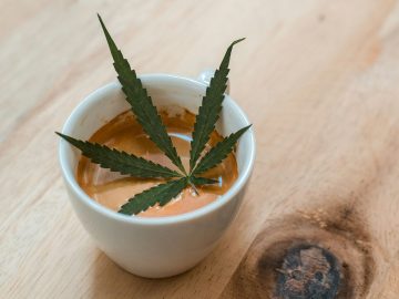 Governor Newsom Has Signed The Bill To Legalize Cannabis Cafes Across California