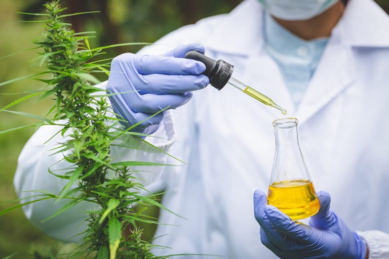 Local cannabis company joins fight against CBD conversion oil – City Pulse