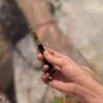 Travel-Friendly Weed Vaporizers Guide 3 Help Me Pick A Weed Vape For Traveling