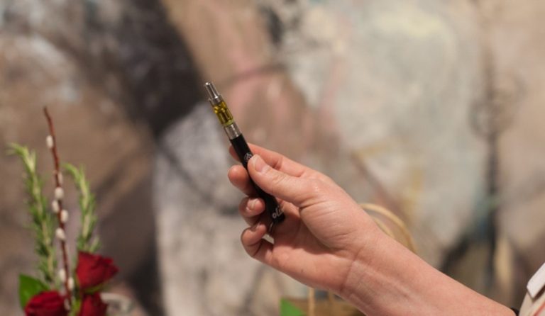 Help Me Pick A Weed Vape For Traveling