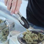 Minnesota's Challenges in Cannabis Licensing Process 4 Slow Going On Cannabis Licensing In Minnesota | Twin Cities Business