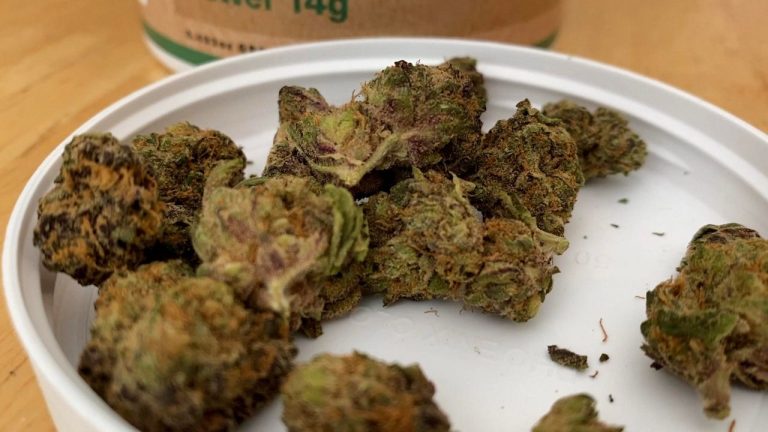 Medical Cannabis On Ballot In More Than 100 Kentucky Counties, Cities