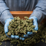 Jersey City Council Delays Cannabis Dispensary Cap Again 3 Jersey City Council Tables Ordinance To Cap Cannabis Dispensaries For Second Time