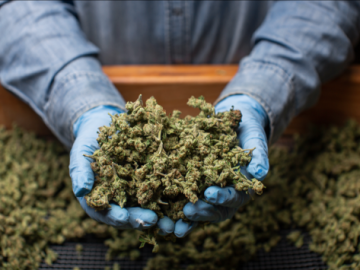 Jersey City Council Tables Ordinance To Cap Cannabis Dispensaries For Second Time
